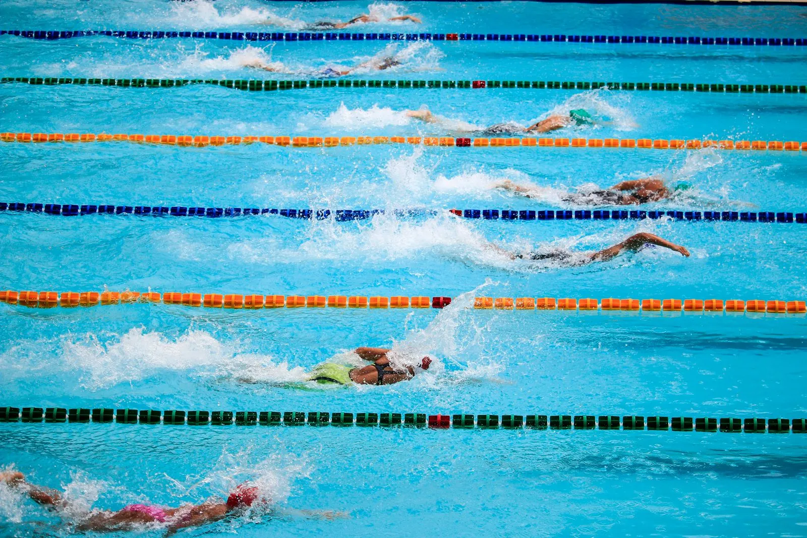Swimmers racing in an outdoor pool