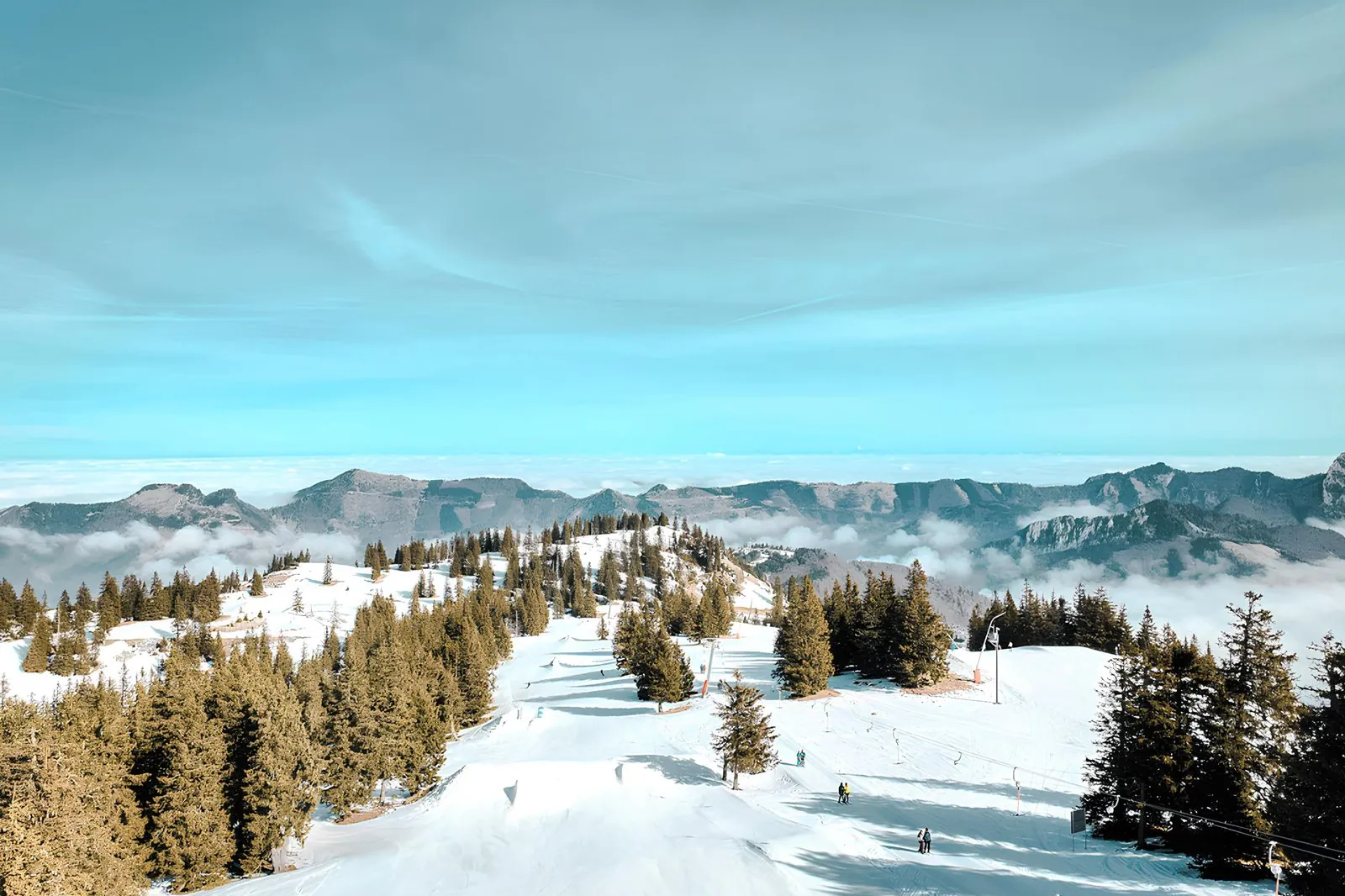 Alpine ski slope with snow-covered trees